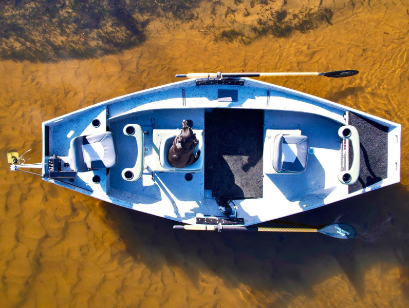 14ft 6in Skinny Skiff #9