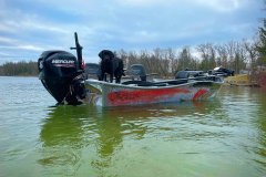 16x54 Power Drifter Sled - David Ruimveld Custom Veil #19