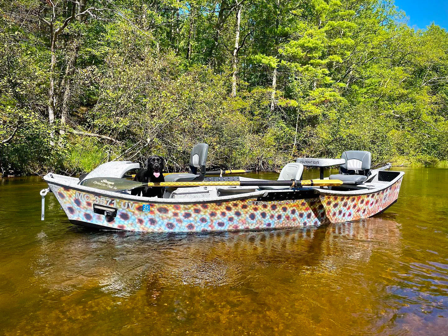 Fish Colors  Stealth Craft Boats