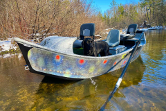 14ft Ransom - Brook Trout Veil #1