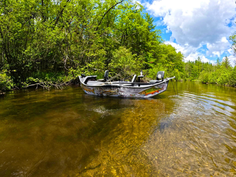 13ft Sniper - David Ruimveld Custom Veil #6