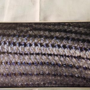 BoneYard Fly Gear - Striper - Sticker