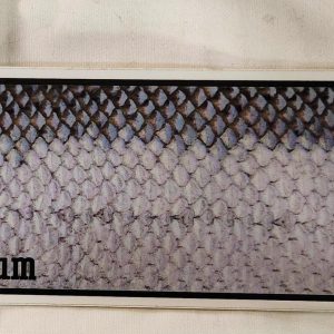 Steelhead Bum - Sticker