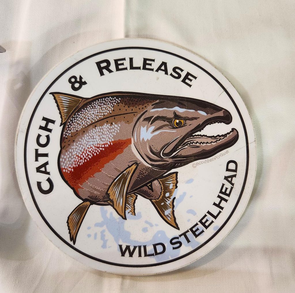 Catch & Release Wild SteelHead – Sticker | Stealth Craft Boats