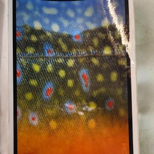 BoneYard Fly Gear - Fish Skin - Sticker