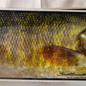 BoneYard Fly Gear - Smallmouth Bass - Sticker