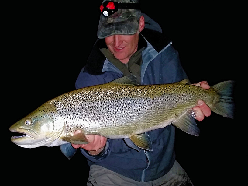 Steinmetz Outfitters